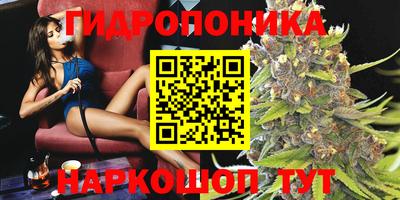 трава Ачхой-Мартан