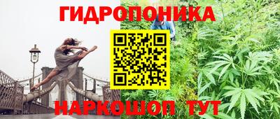 трава Ачхой-Мартан