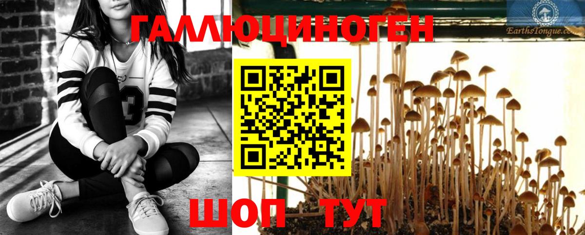 Галлюциногенные грибы мухоморы  Вход с VPN  купить  сайты  Архангельск 